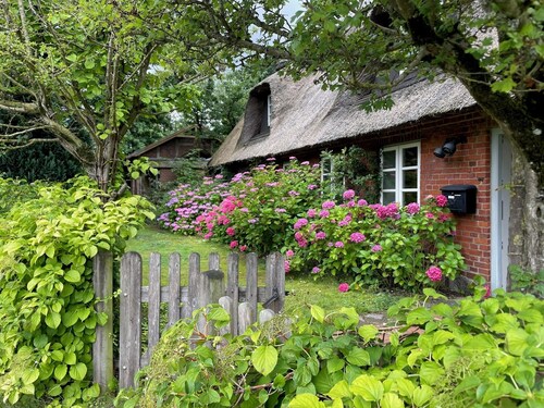 Traumurlaub in stilvollem Reetdachhaus in ländlicher Umgebung