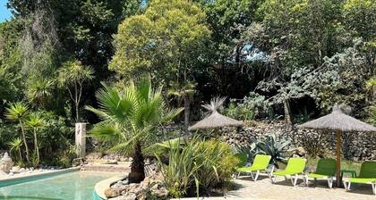 DOMAINE DE SAINT AMOUR / LA BASTIDE-ESTATE FROM THE 18TH CENTURY