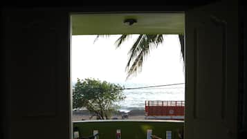 Beach/ocean view
