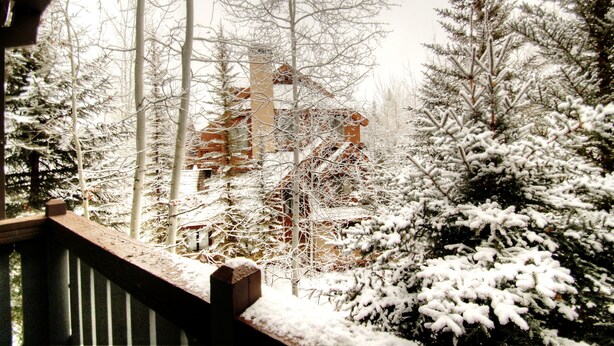 A snowy landscape with a wooden deck and snow-covered trees.