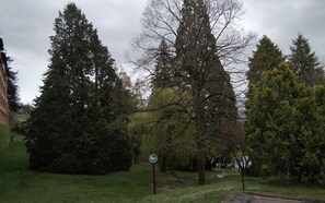 Boendeområde