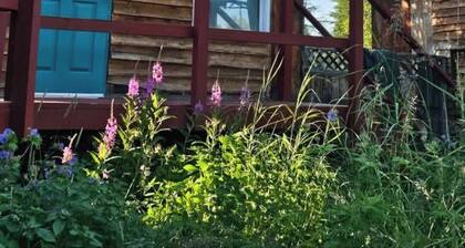 River Front Cabin on the Kenai River