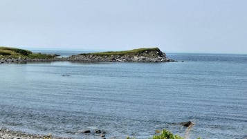 Ranta