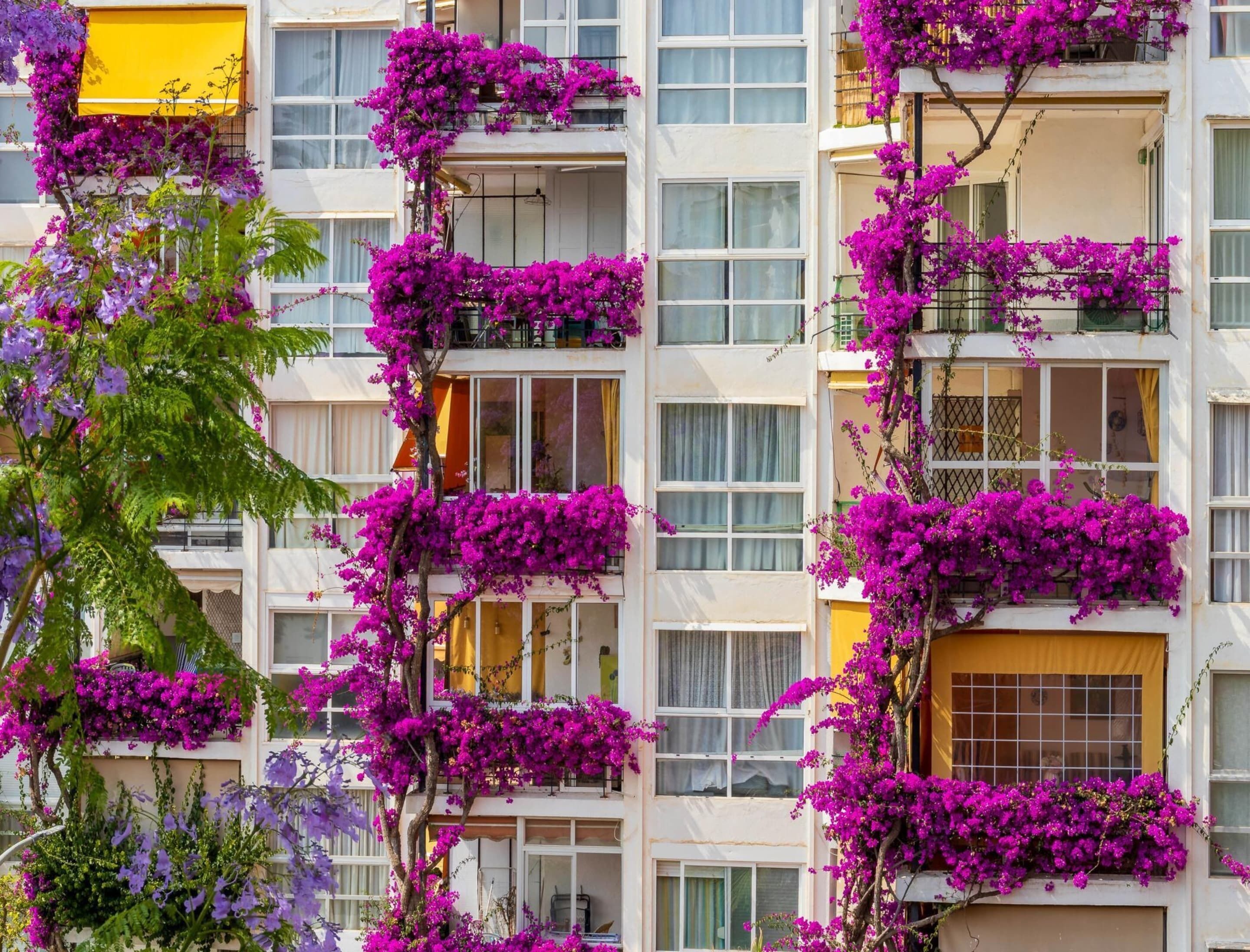 Apartamento | Fachada