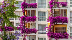 Unclassified image, 3 of 17, button - Apartment With Terrace Near the Sea (Torremolinos)