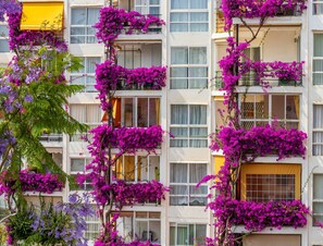 Apartment | Aussenbereich