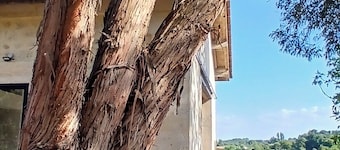 Detached 2/4 bed stone studio near Saint-Émilion and Bordeaux.