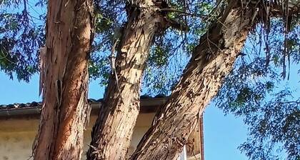Detached 2/4 bed stone studio near Saint-Émilion and Bordeaux.