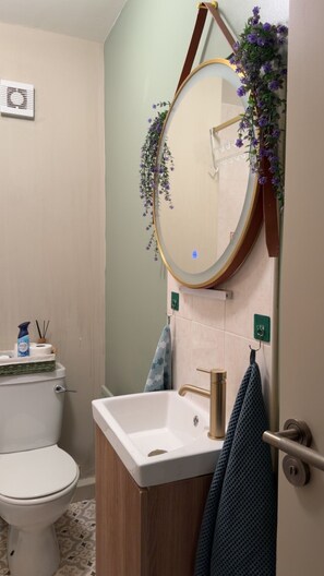 Hair dryer, towels, soap, toilet paper - Cosy apartment in heart of Cork City (Cork)