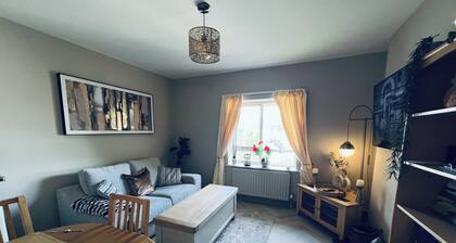 Cosy apartment in heart of Cork City