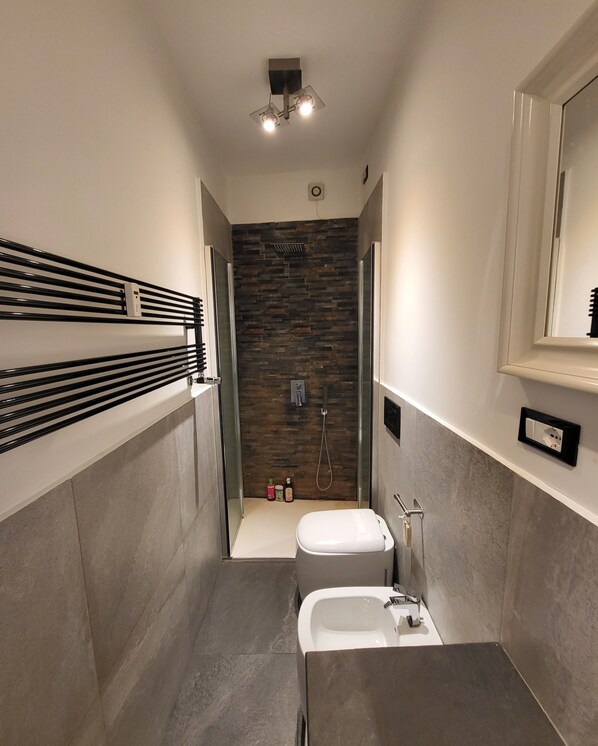 Dusche, Haartrockner, Bidet, Handtücher