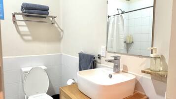 Shower, towels, soap, toilet paper