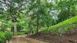 A dirt path surrounded by lush greenery and trees. - Cozy wooden cabin with every comfort and a view of the nearby golf course. (Jicaral)