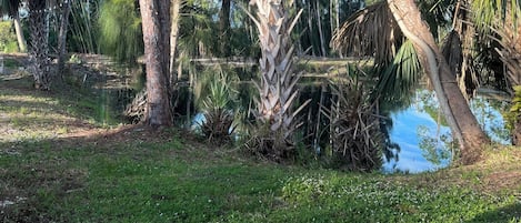Parco della struttura
