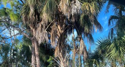 Chill  Cottage in charming Punta Gorda