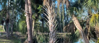 Chill Cottage in charming Punta Gorda