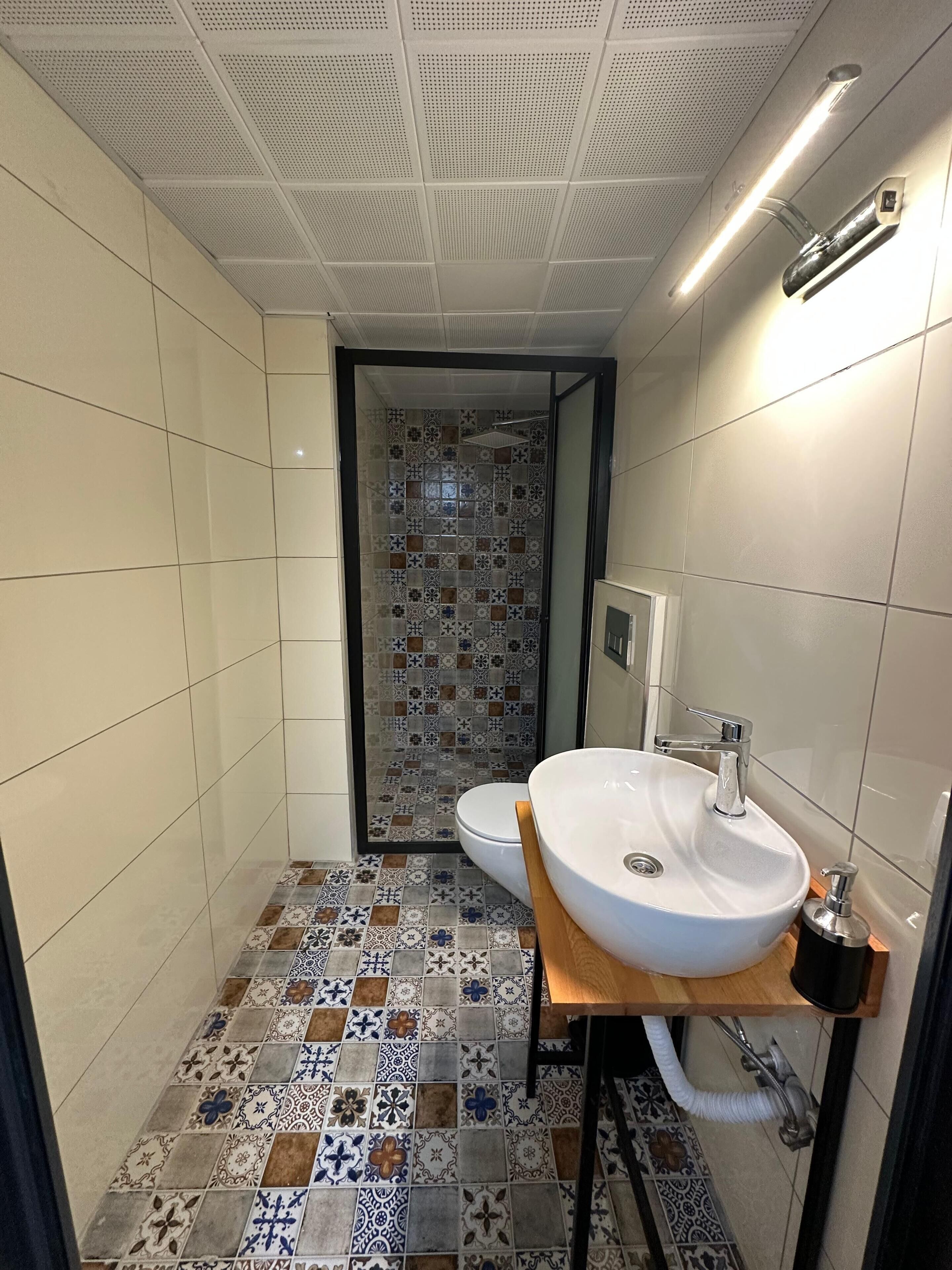 A bathroom with a white sink, a toilet, and a shower area.