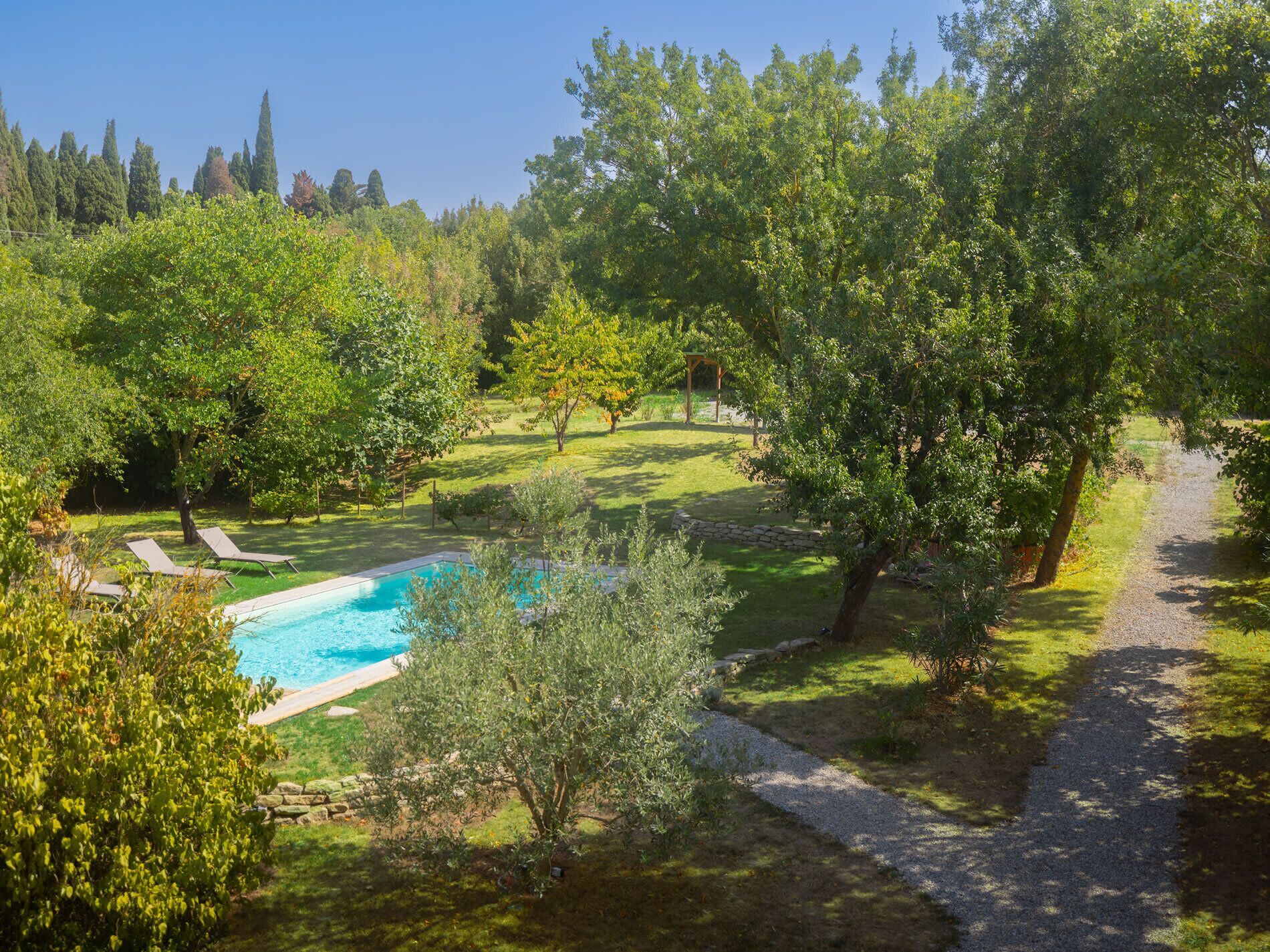 A backyard with a swimming pool, a grassy lawn, and trees.