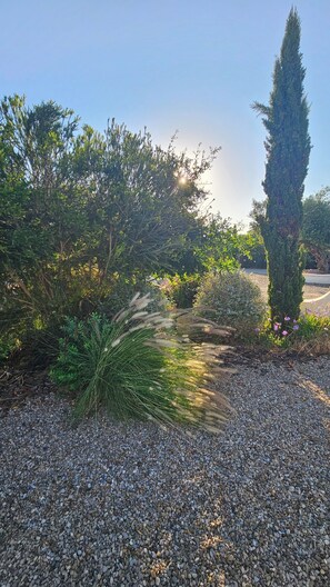 Property grounds - Your oasis of peace by the sea. Casa Chica 2 (Sanlúcar de Barrameda)