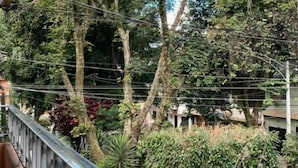 A balcony with a metal railing overlooking a garden with trees and a small building. - Hostal Abba  (Medellín)