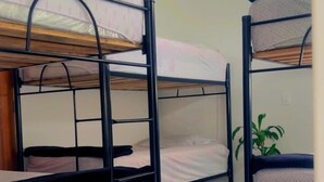 A room with bunk beds, a potted plant, and a speckled floor. - Hostal Abba  (Medellín)