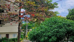 A residential street with a tree-lined sidewalk, a building with a visible door and windows, and a clear sky. - Hostal Abba  (Medellín)