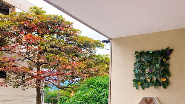 A balcony with a blue bean bag chair, a white railing, and a wall-mounted plant. - Hostal Abba  (Medellín)