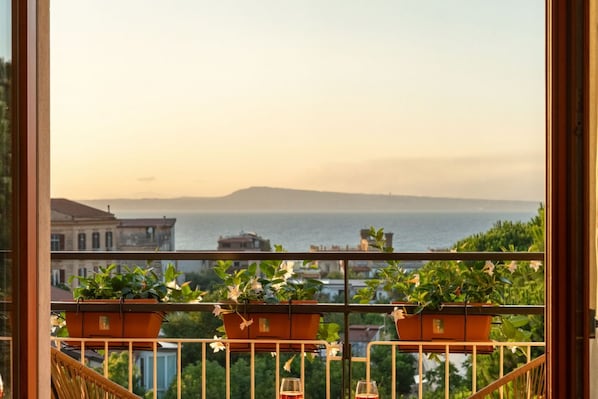 A balcony with potted plants and a view of the sea.