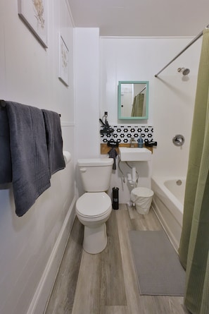 Hair dryer, soap, toilet paper