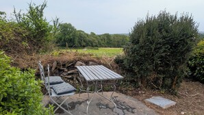 An outdoor seating area with a table and chairs, surrounded by greenery and a stone wall. - Charming 2-bedroom Cottage near Skibbereen with stove and views. (Skibbereen)