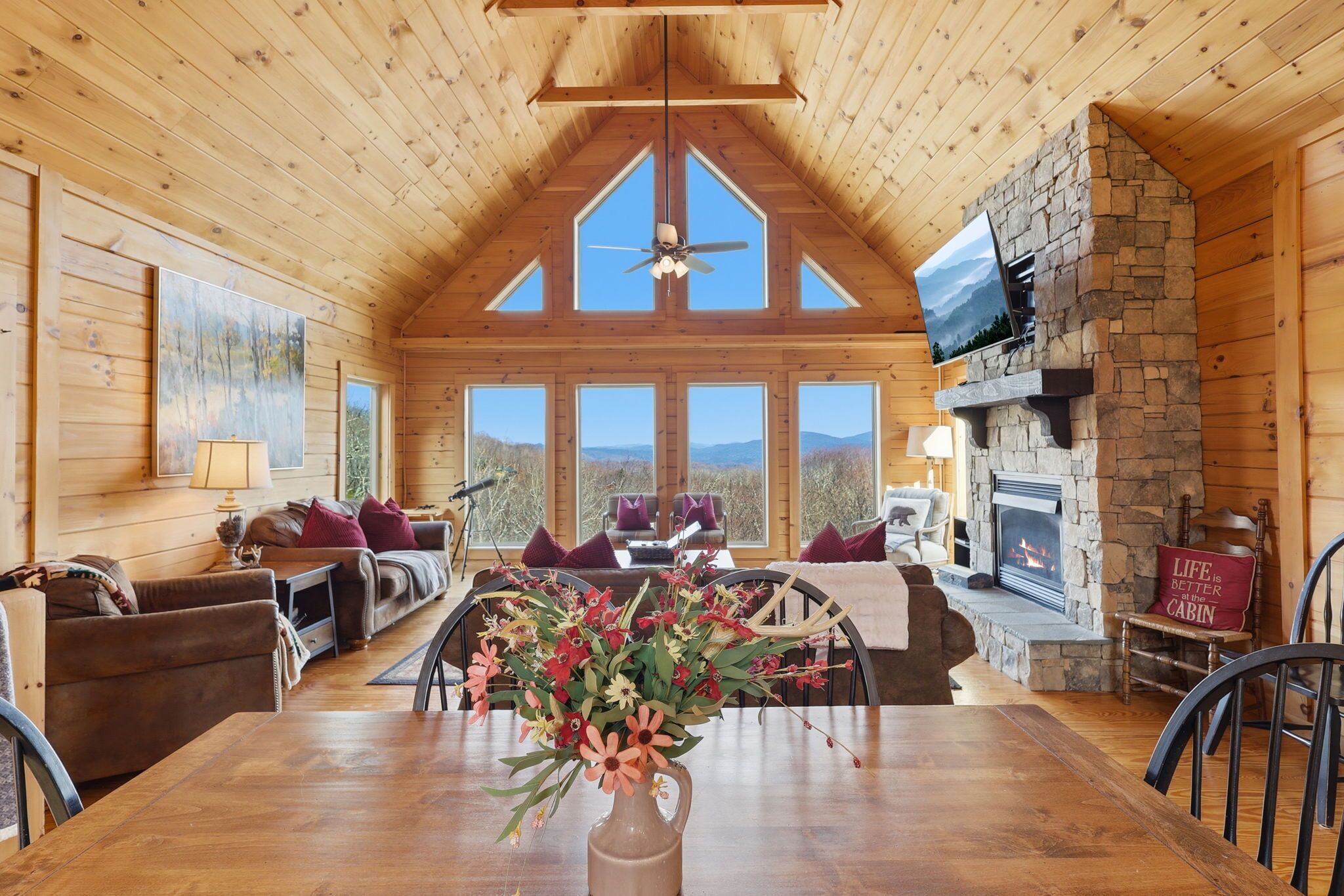 Smart TV, chimenea, videojuegos y libros 