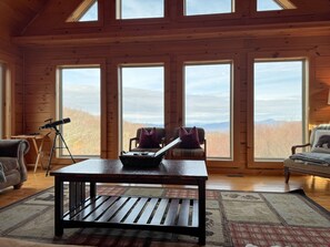 Smart TV, fireplace, video games, books