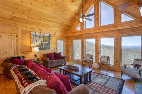 Smart TV, fireplace, video games, books