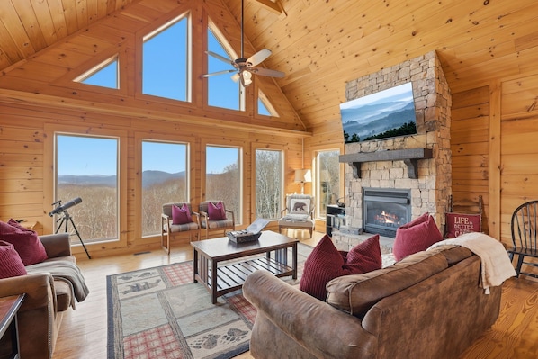 TV connectée, cheminée, jeux vidéo, livres