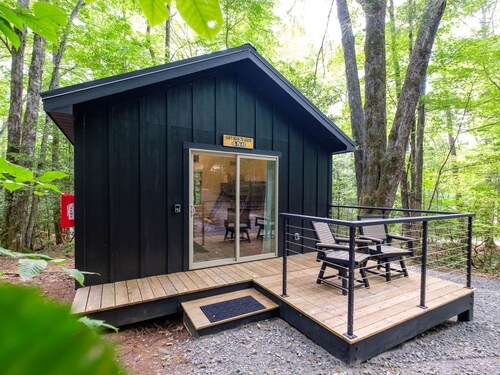 Family Bunk Cabin - Can't Bear To Leave