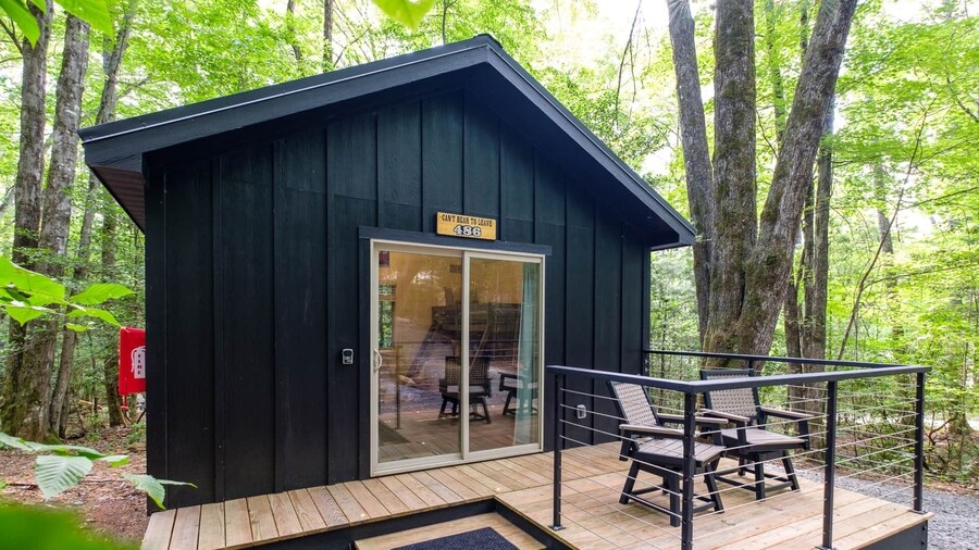 Family Bunk Cabin - Can't Bear To Leave