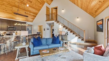 TV connectée, cheminée, vidéothÚque, chaßne hi-fi