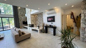 Smart TV, fireplace, books