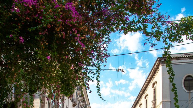An outdoor café with tables and chairs, surrounded by buildings with balconies and vines. - Dimora Di Nardo "Geranio Apartment" — An elegant 75-square-meter apartment (Catania)