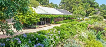Monkey Gully Retreat - Pool - Mansfield - Sleeps 9