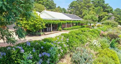 Monkey Gully Retreat - Pool - Mansfield - Sleeps 9