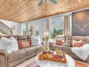 Télévision, cheminée, jeux vidéo, chaîne hi-fi