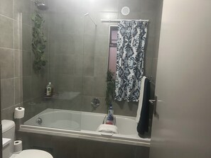 Dusche, Haartrockner, HandtĂŒcher, Seife