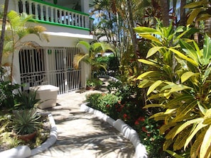 A courtyard with a white building, a metal gate, and various tropical plants.
