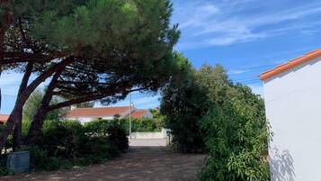A residential area with a paved driveway leading to a white building with a red roof. There are trees and shrubs around, and a clear sky above.