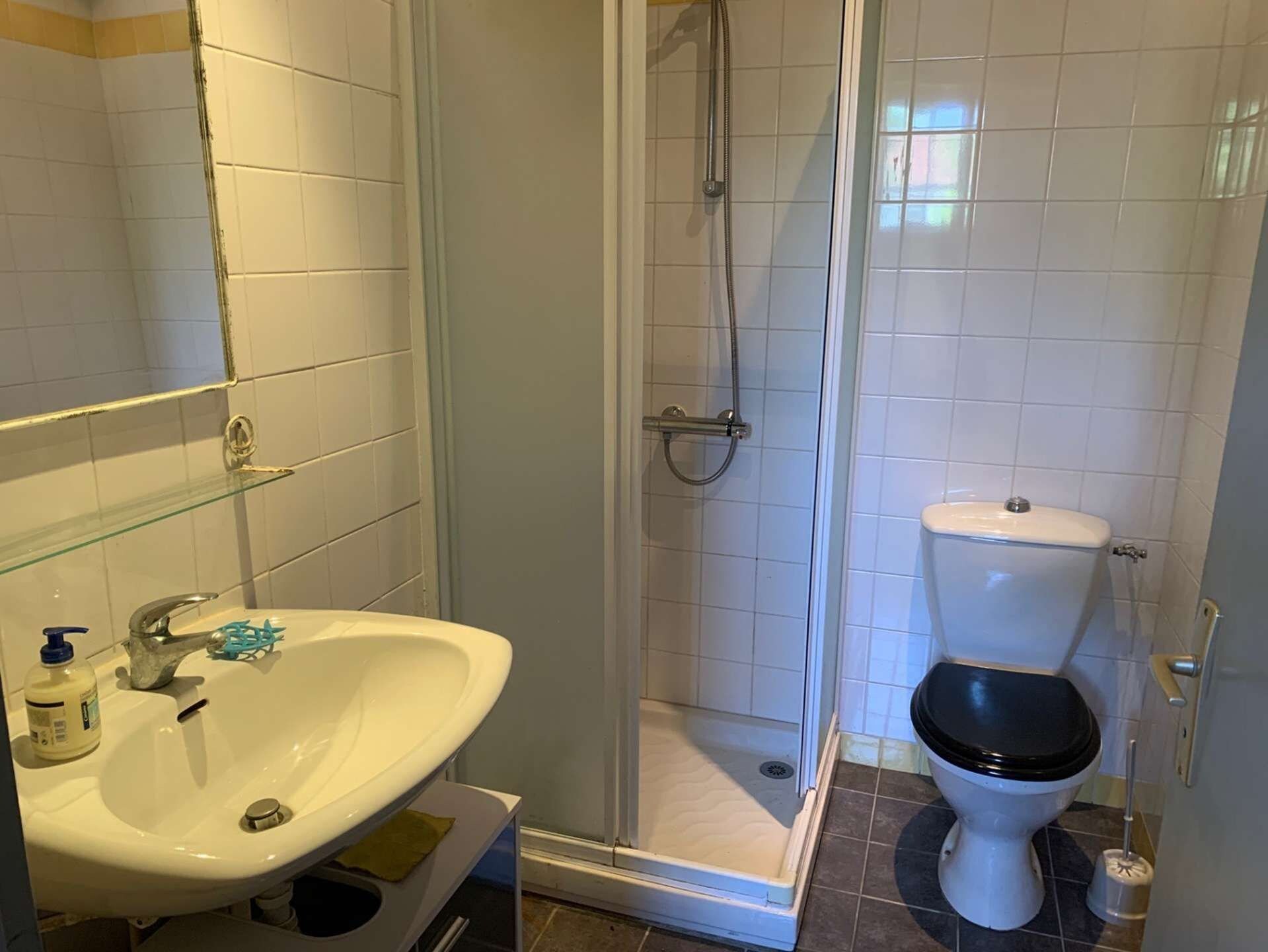 Une salle de bain avec une douche à parois de verre, un lavabo blanc doté d’un distributeur de savon et des toilettes.