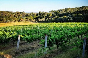 Miscellaneous - Hartzell One Seven | Private | Family Friendly (Wilyabrup)