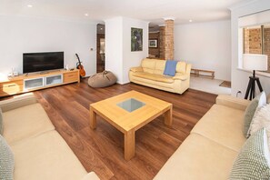 TV, fireplace, video games, ping pong