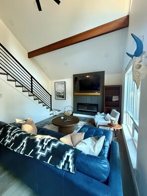 Smart TV, fireplace, books