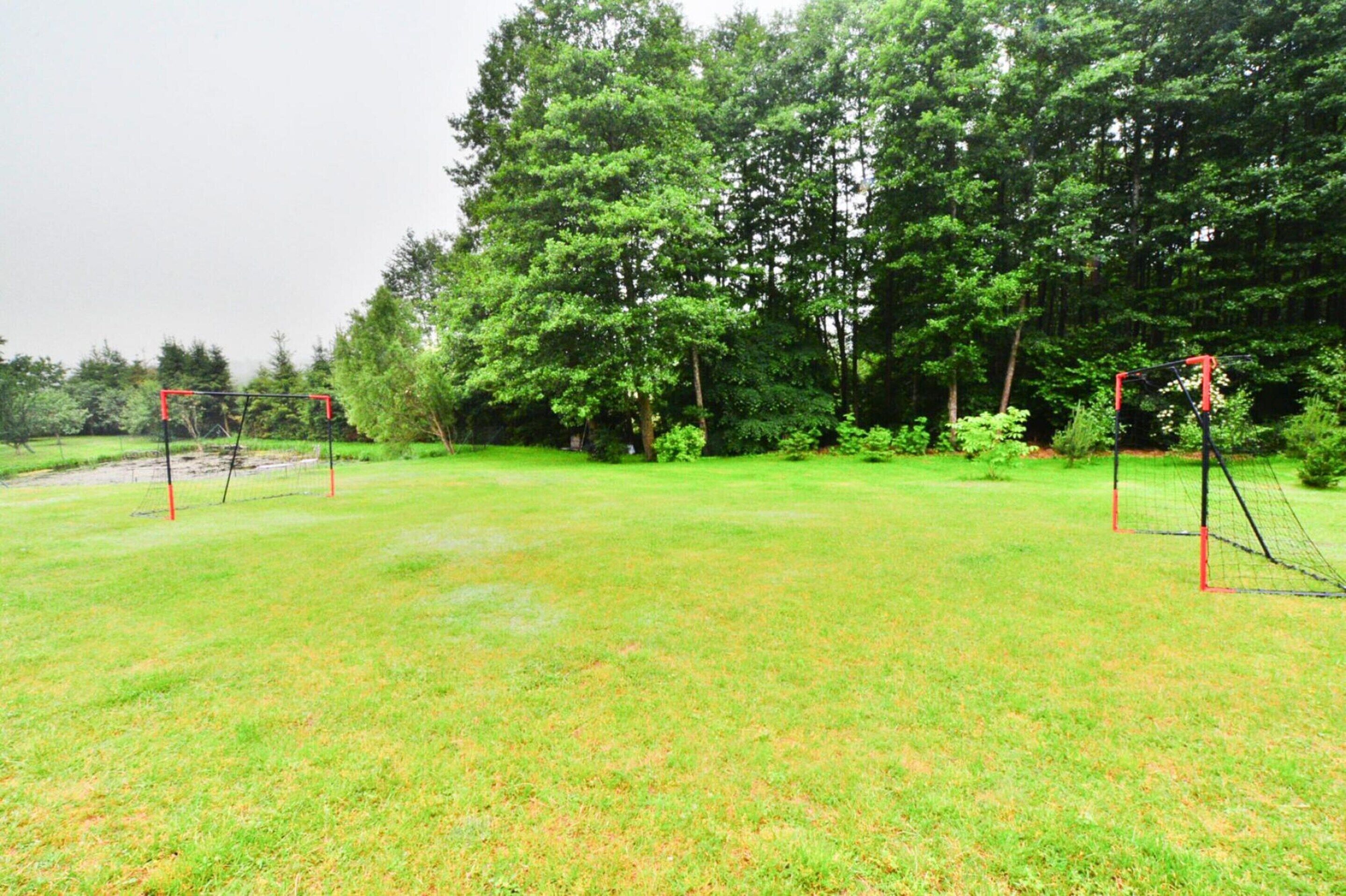 A grassy outdoor area with two soccer goals and trees in the background.